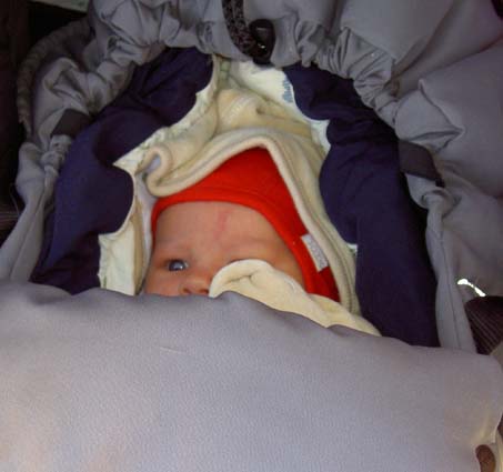 Elvira, nedpackad i vagnen, november 2005