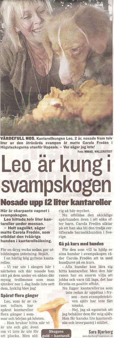 Leo i tidningen