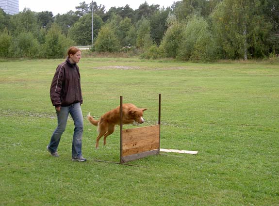 Hopp över hinder