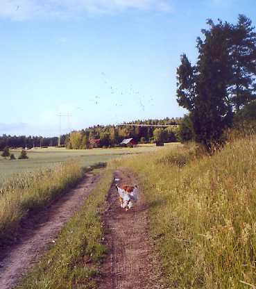 Är det truten som kommer med Etta eller tvärtom?