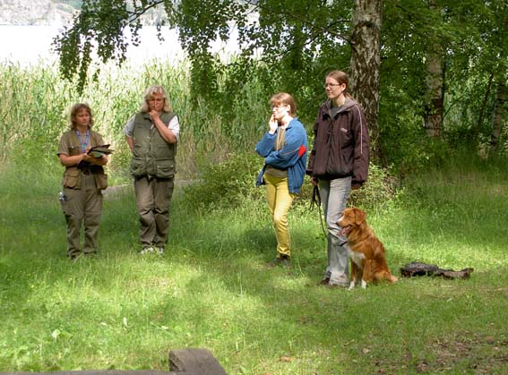 Banjo på markeringen