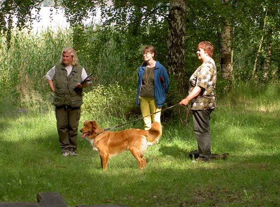 Charango i markeringstagen