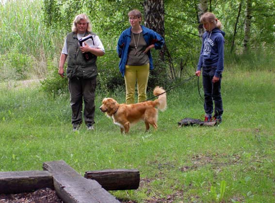 Vasse kollar markeringen