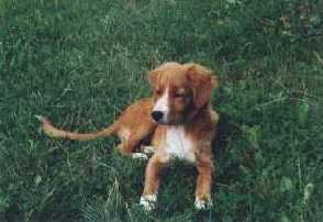 Orm, 4 mnader