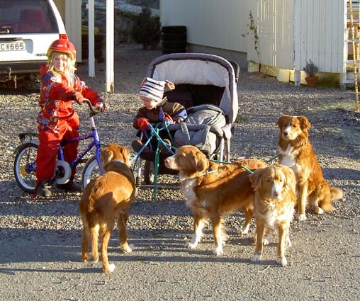 Tilia, Wilmer och Elvira, november 2005