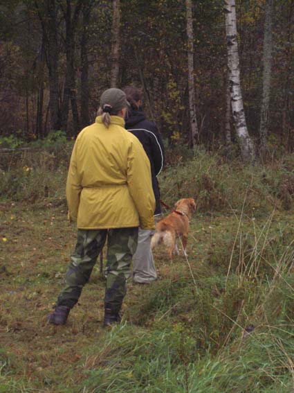 Strumpan undrar vem som kommer i skogen