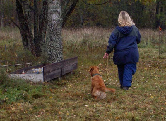Toppa kollar in skrammlet