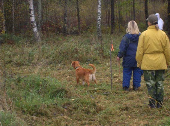 Toppa kollar in spökena